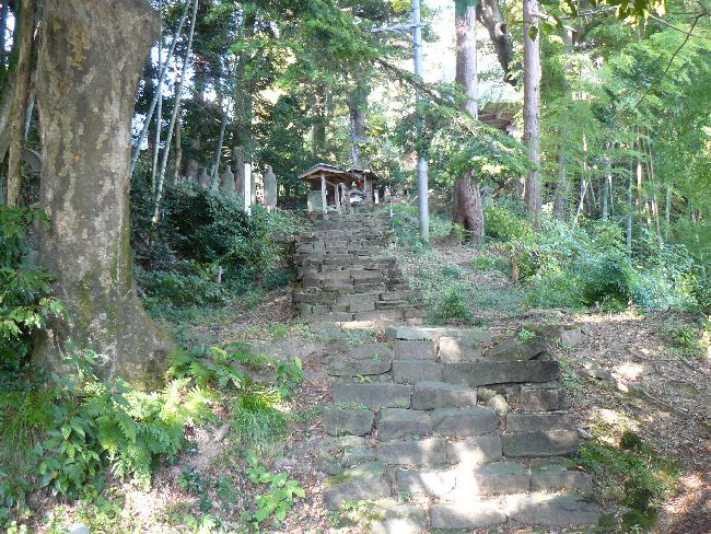 �ŒJ�ω���