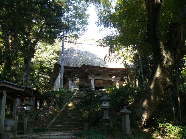 �ŒJ�ω���