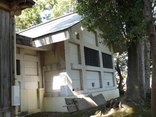 ���X�_��