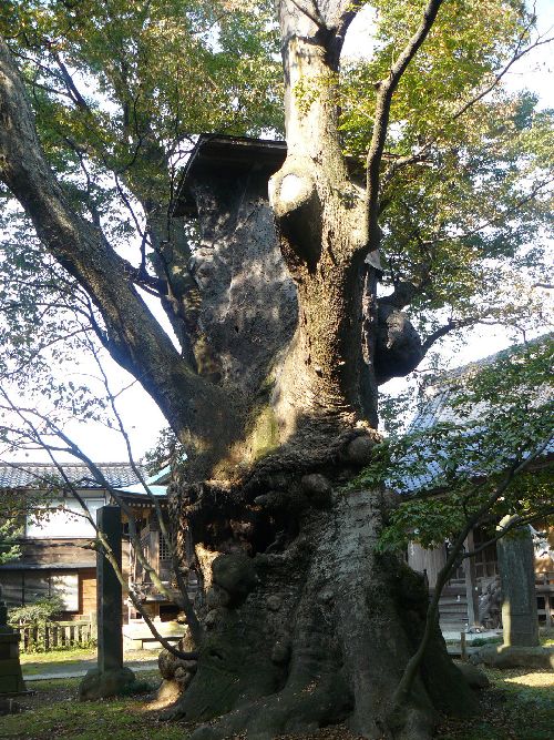 鵜川神社