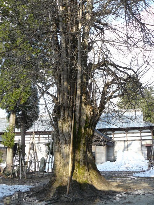 �싛���s�E�啟��