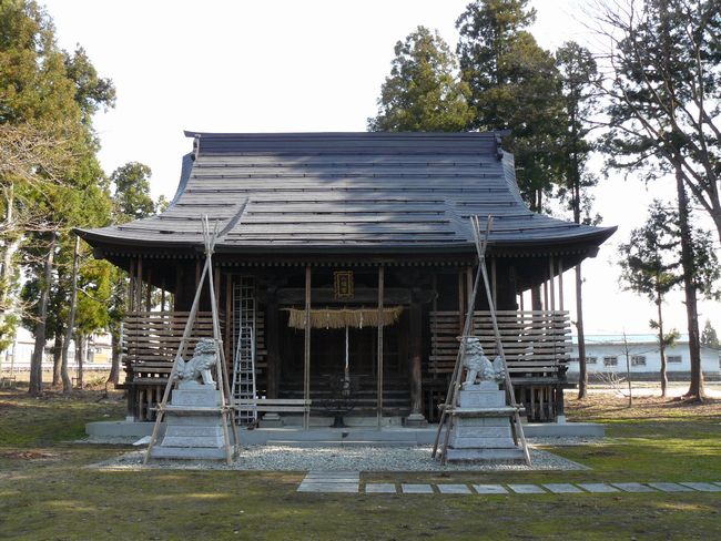 �����_��