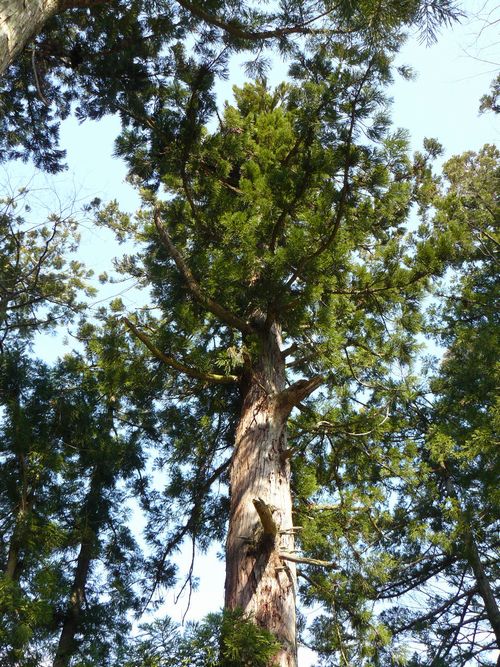 �싛���s�E�����_��