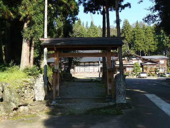 �V�����E�R��