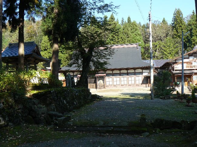 �V�����E����