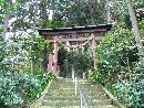 西奈彌羽黒神社石段から見上げた朱色の木製鳥居