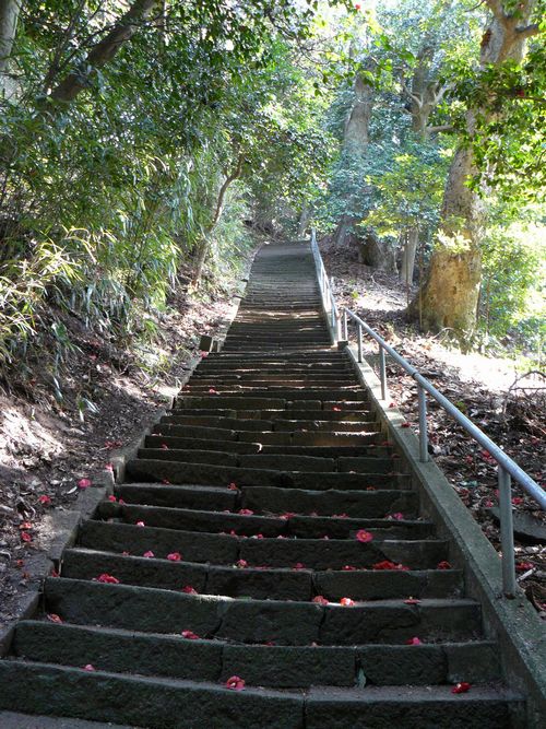 ����s�E⦌������{