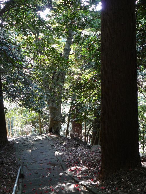 ����s�E⦌������{