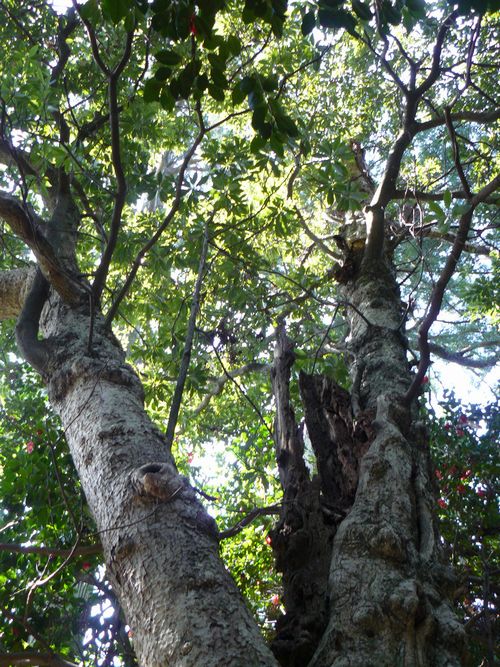 ����s�E⦌������{