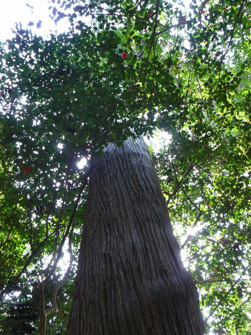 ����s�E⦌������{