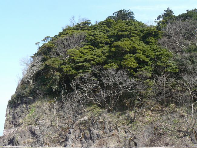 ⦌������{