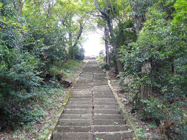 �ۘC�H���i��᎛�j