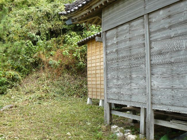 �ɐ{����_��