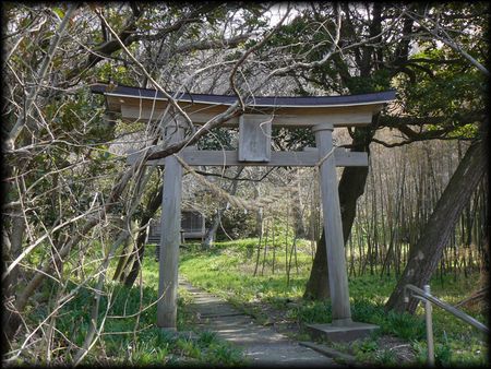 �����_��