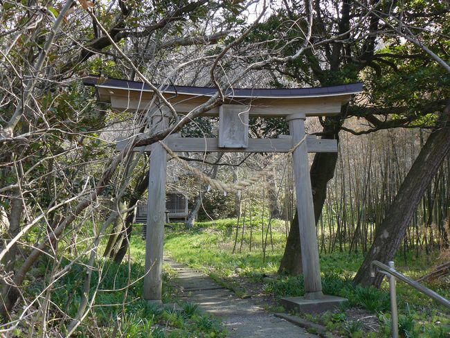 �����_��