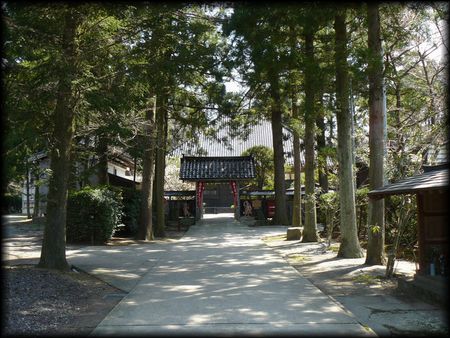 ���򎛂̎�̂���Q��