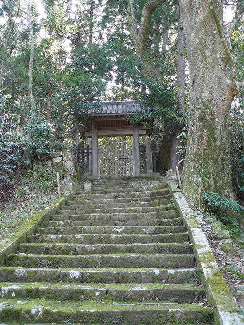 �������i����s�j