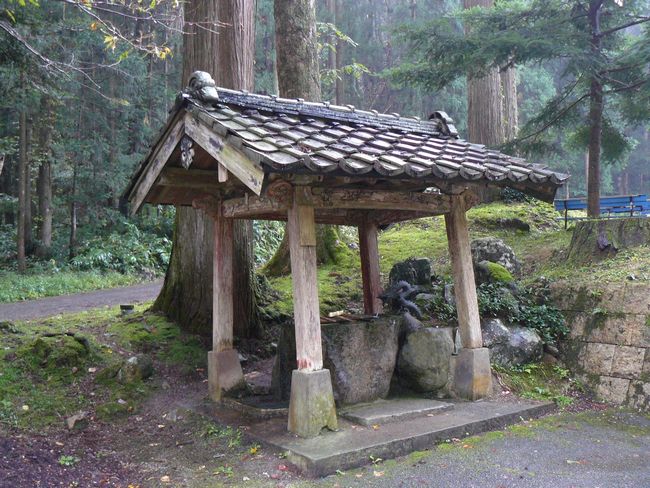 ����喞���󑠑�