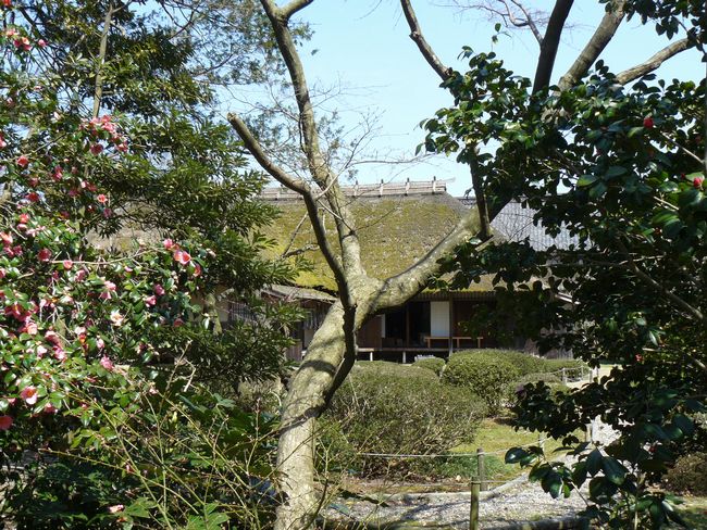 ����щƏZ��