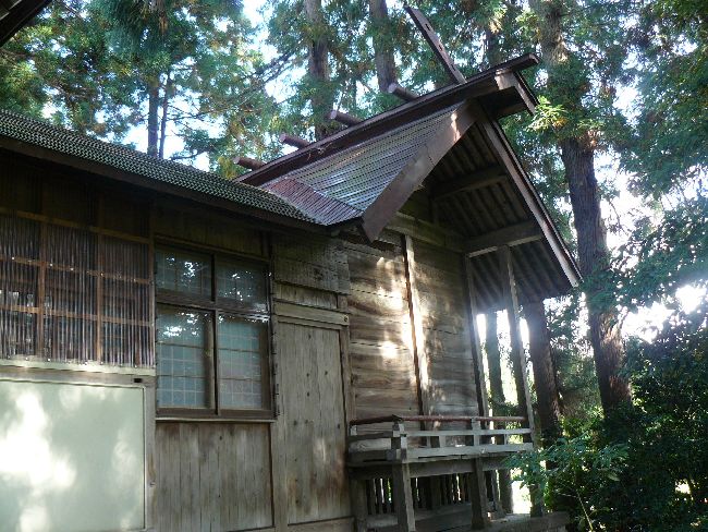 ���g�_��