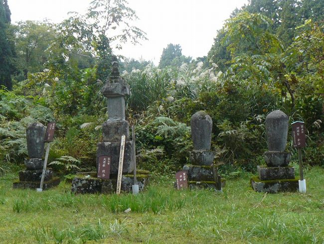 �֎R�󑠉@��