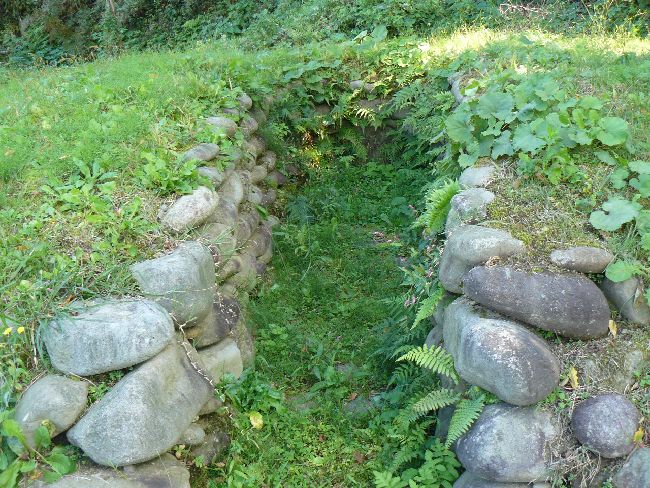 �����Õ�