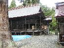 関山神社境内に生える大木越に見える社殿