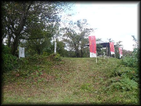 �L������