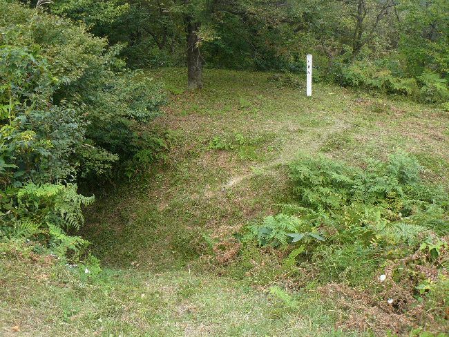 �L������