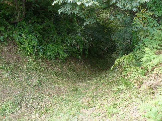 �L������