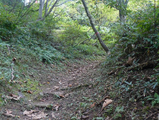 �L������