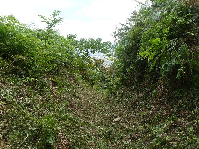 �L������