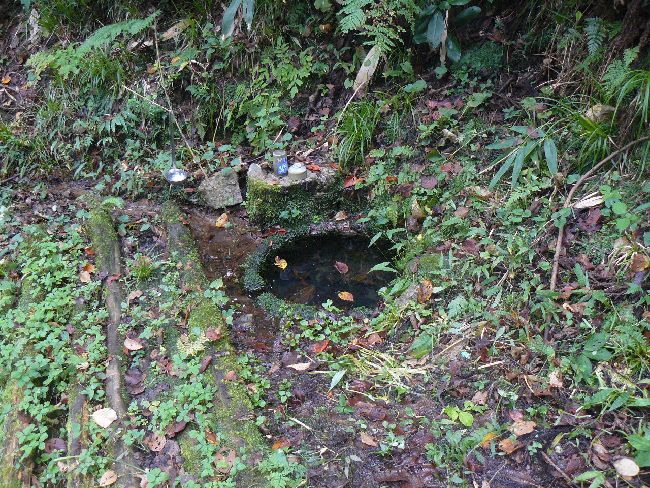 �L������