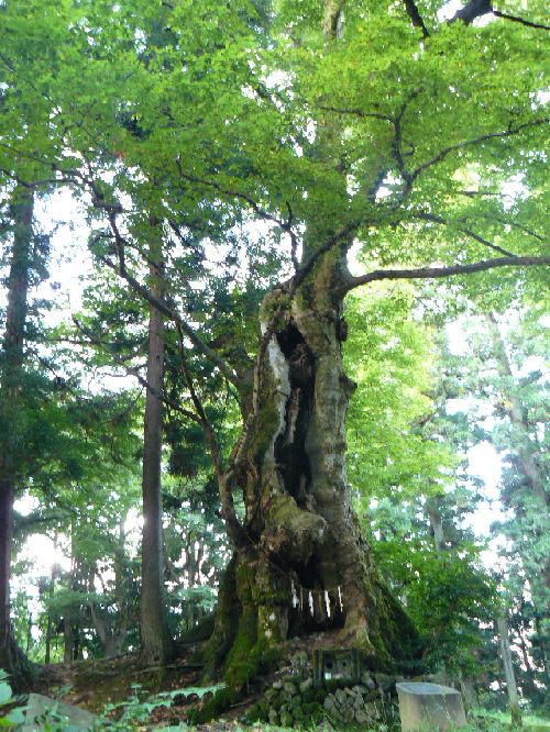 �H���_�Ёi�����s�j