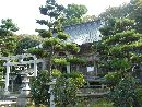 白山媛神社植栽の松越に見える拝殿