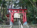 石井神社参道石段沿いに設けられた木製鳥居（朱塗り）