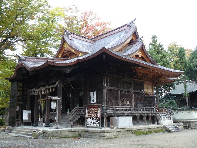 �����_��