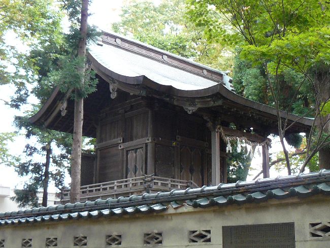 �����_��