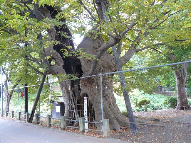 �����_��