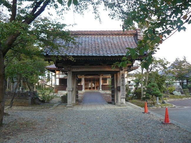 ���{�莛�ʉ@