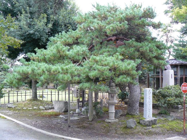 ��|�@�L�O��