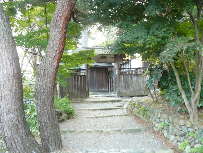 �y�R���i�����s�j