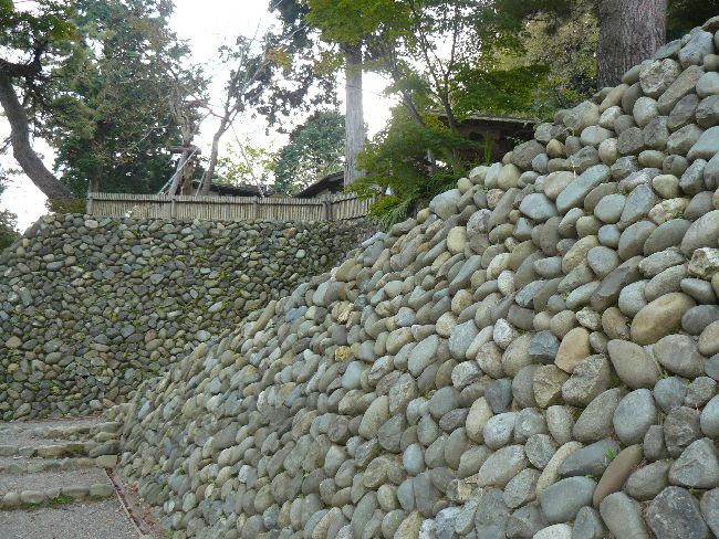 �y�R���i�����s�j