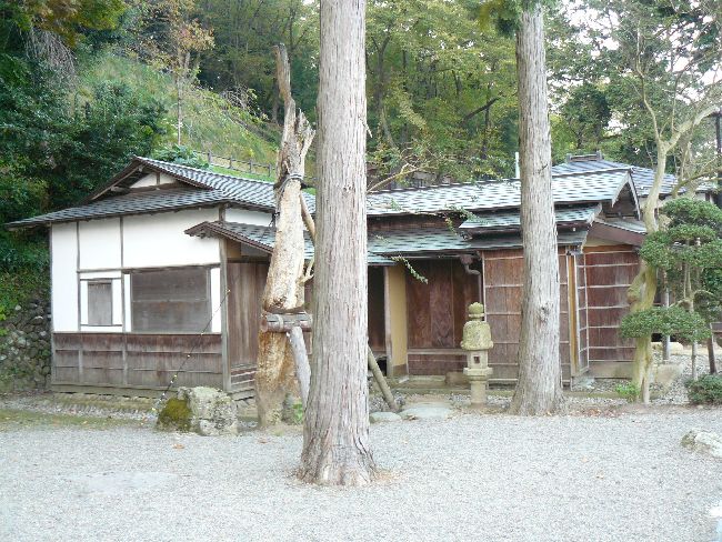 �y�R���i�����s�j