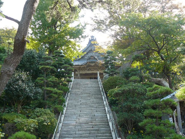 �Ɩ��������@