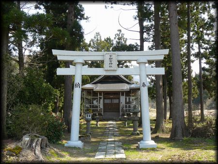 �F�s�{�_�Ћ������ʂɐ݂���ꂽ�咹��