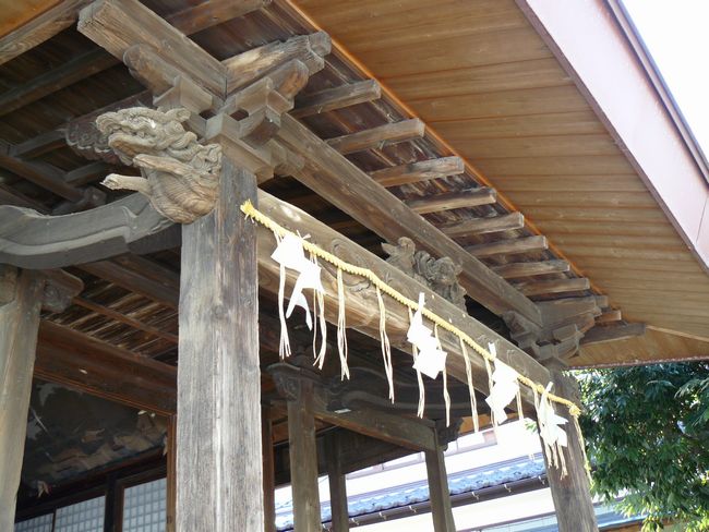 �����_��