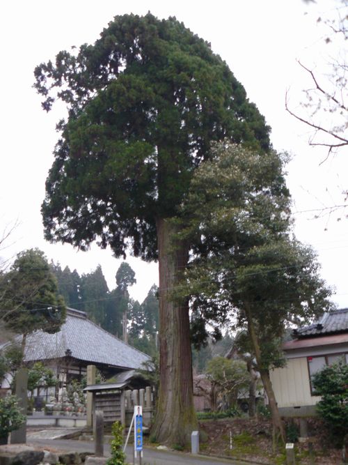 ���k���i�V���s�j