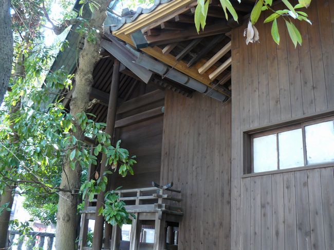 �D�]���_�{