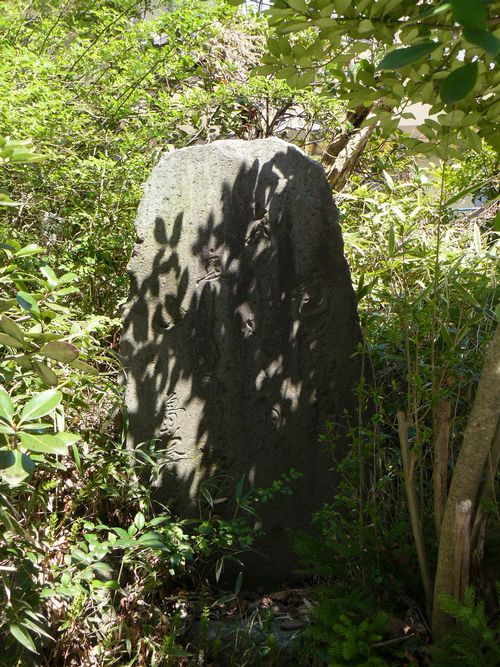 �V���s�E�D�]���_�{